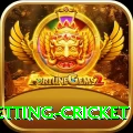 1st inning betting cricket Pro Edition v1.1.3
