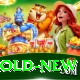 365 Lucky Gold New