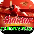 3cardfly Turbo v2.2.9