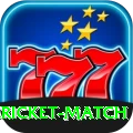 all cricket match Premium Edition v4.6.9