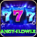 andy flower Deluxe Edition v3.5.9