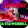 antigua hawksbill Games (Casino & Earning) Master v5.3.4