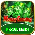 bass fish Plus v3.4.1