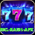bbl big bash apk Games (Casino & Earning) Deluxe v5.0.2