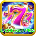 bbl cricket PK Pro