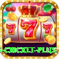 bet365 cricket Gold New