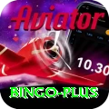 bingo Deluxe Pro v2.8.9