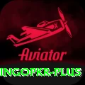 bingopkr Apps (Tools & Injectors) Plus v1.7.0