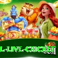 bpl live cricket VIP v3.3.1
