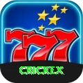 crickex Plus Pro vv4.4.9