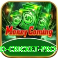 england cricket Slots Royal v2.9.9