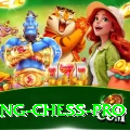 flying chess Pro 2024