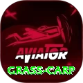 grass carp Master Pro v5.8.9