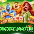 india cricket match Turbo v4.9.3