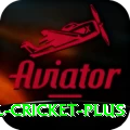 international cricket King PK v5.4.6