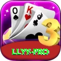 llyy Mobile Pro