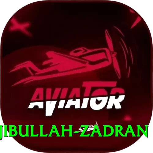 najibullah zadran Deluxe v2.6.8 - 2