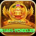 naseem shah yorkers Apps (Tools & Injectors) VIP v3.5.7