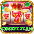 new zealand cricket team VIP Edition v1.2.6