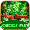 online cricket - Casino Prime