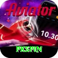 pkspin Plus vv5.3.8