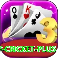 play cricket - Live Champion