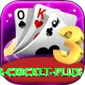 r cricket - VIP Mega