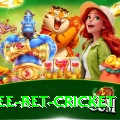 risk free bet cricket Pro Max v1.2.2