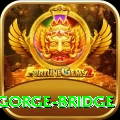 seti gorge bridge VIP Pro v4.8.1
