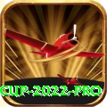 t20 world cup 2022 PK Max