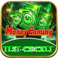 test cricket Pro Max v4.2.1