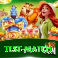 test match Premium Plus v2.6.6