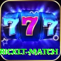 to day cricket match Elite v5.7.9