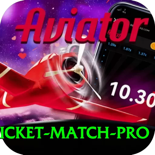 to day cricket match Slot Machine Premium - 2