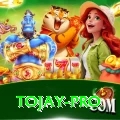 tojay Turbo Casino App
