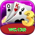 wc t20 Pro1 v4.2.2