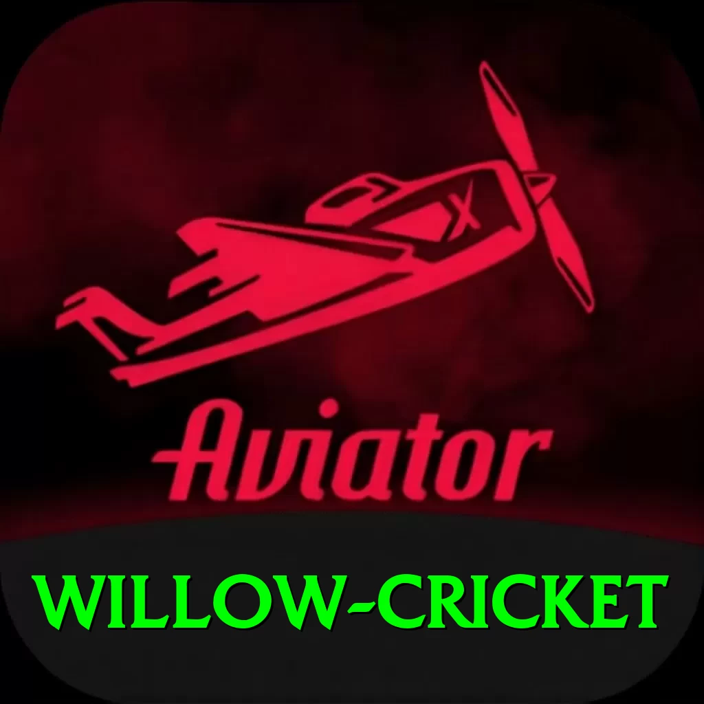 willow cricket Pro1 v2.5.6 - 2