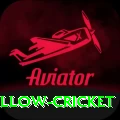 willow cricket Pro1 v2.5.6