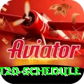 world t20 schedule Gold Edition v2.8.0